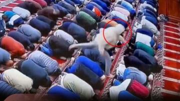 لحظة طعن إمام مسجد في صلاة الفجر بأمريكا(فيديو)